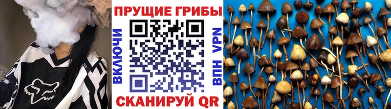 Псилоцибиновые грибы ЛСД  Сургут 